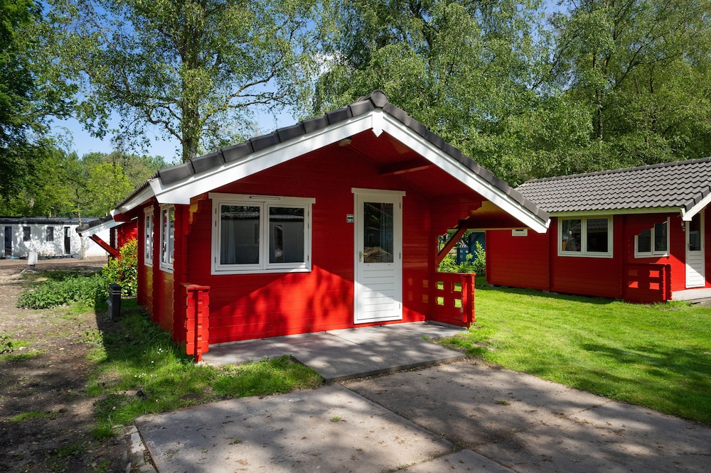 Cabin 5