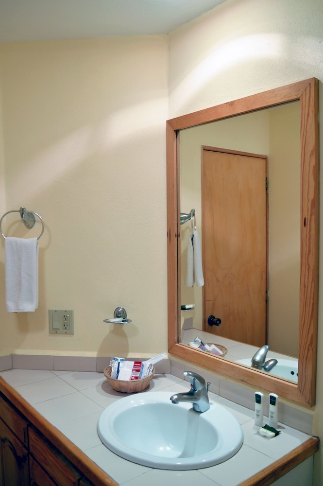 Three Bedroom Penthouse - Photo 10