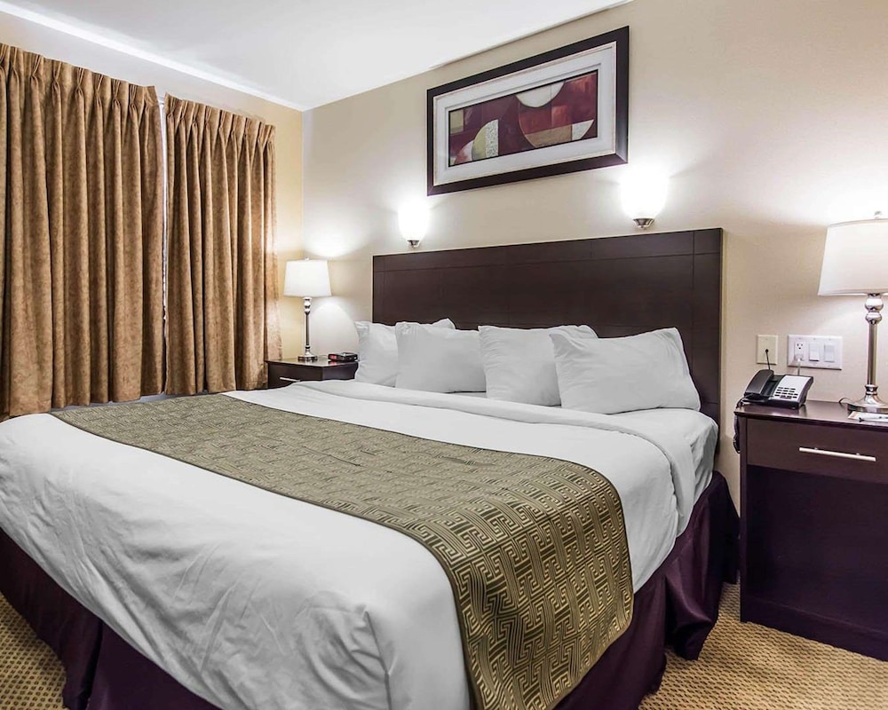Traditional Room, 1 King Bed, Accessible, Non Smoking - Photo 2