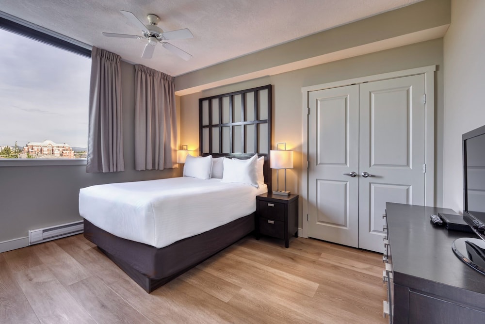 Suite, 2 Bedrooms - Photo 9