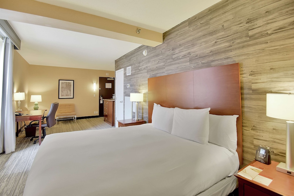 Room, 1 King Bed, Mobility Accessible, Allergy Friendly (Roll-in Shower) - Photo 1