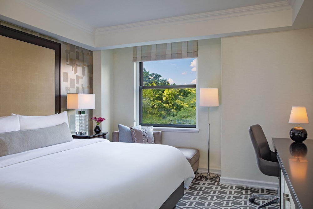 Room, 1 King Bed, Park View
