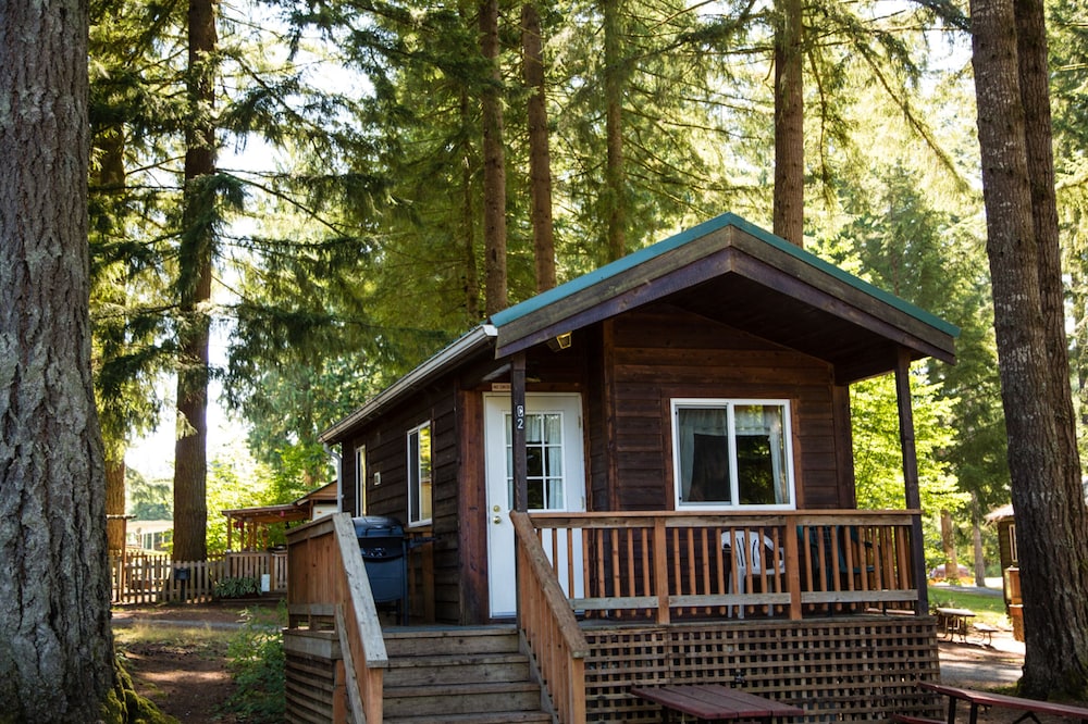 Cabin, Kitchenette (Linens Not Included, Pets Allowed) photo 3