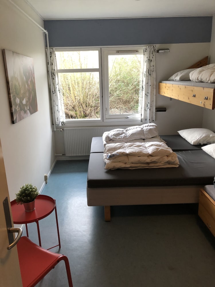 Basic Room photo 3