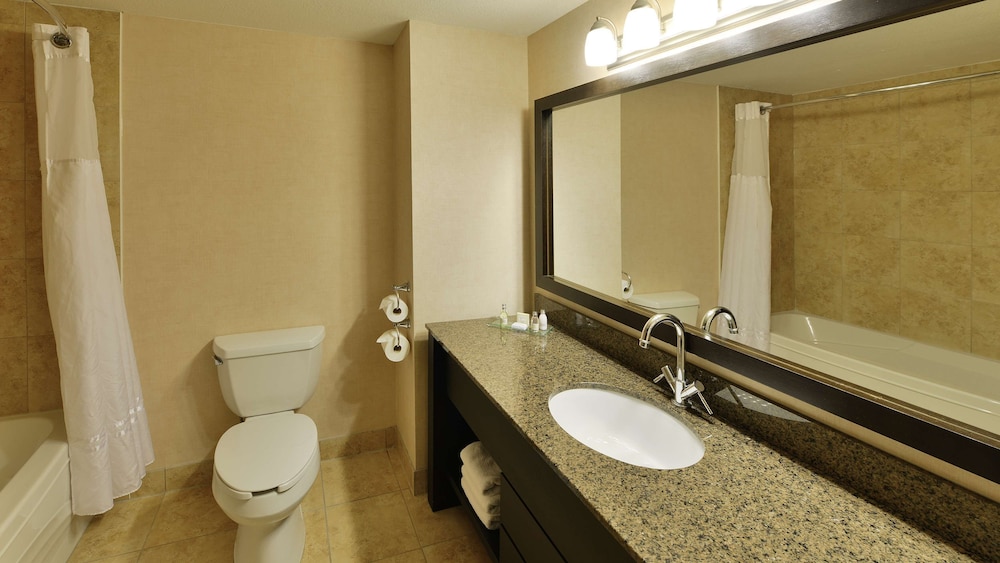 Suite, 1 King Bed, Non Smoking, Kitchen (Shower Only;with Sofabed) - Photo 5