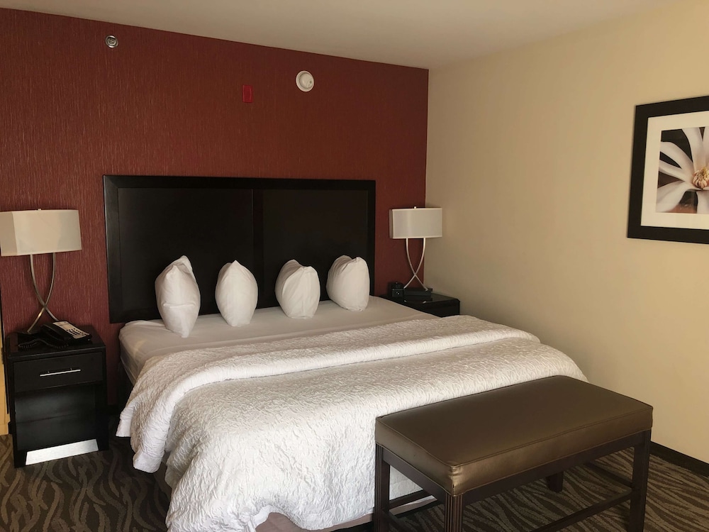 Room, 1 King Bed photo 1