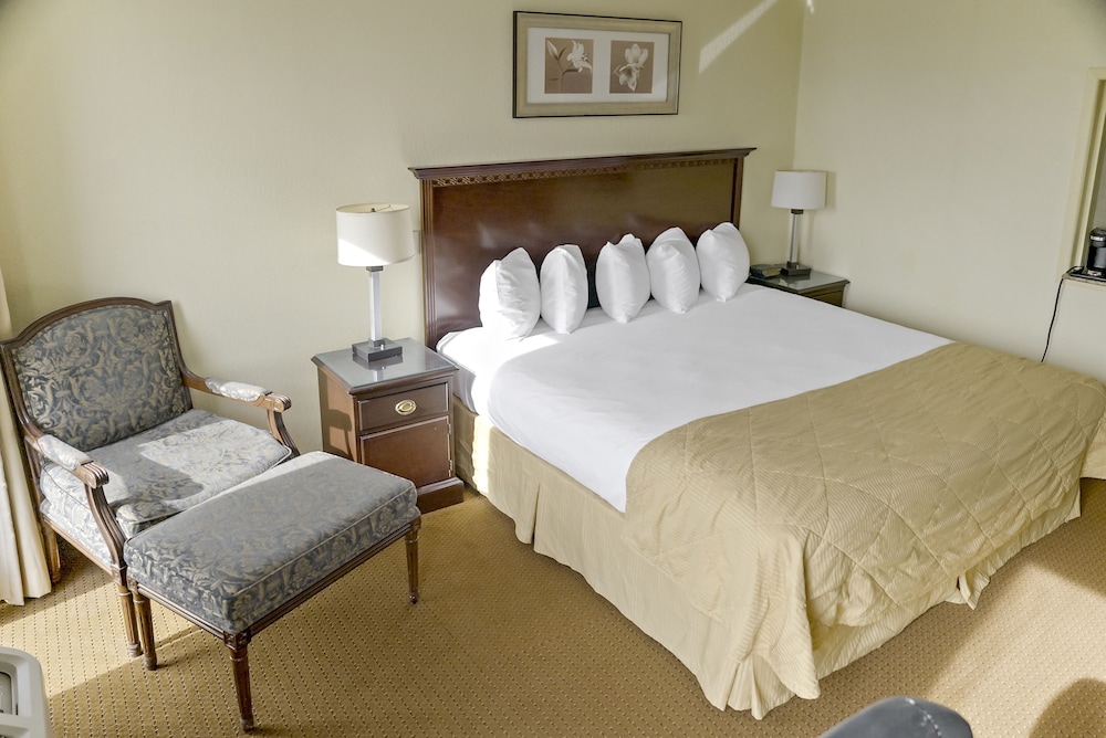 Basic Double Room photo 2