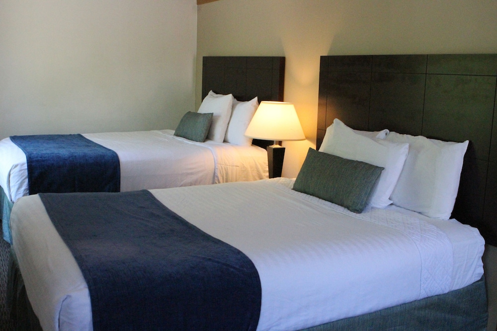 Suite photo 2