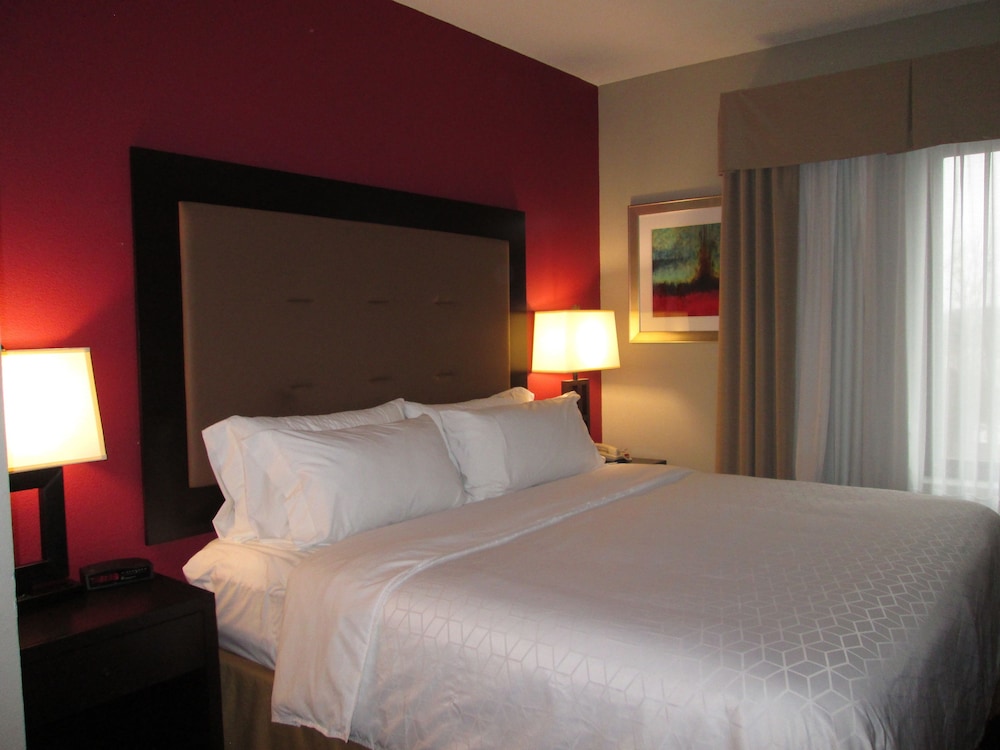 Room, 1 King Bed, Non Smoking (Leisure) - Photo 3