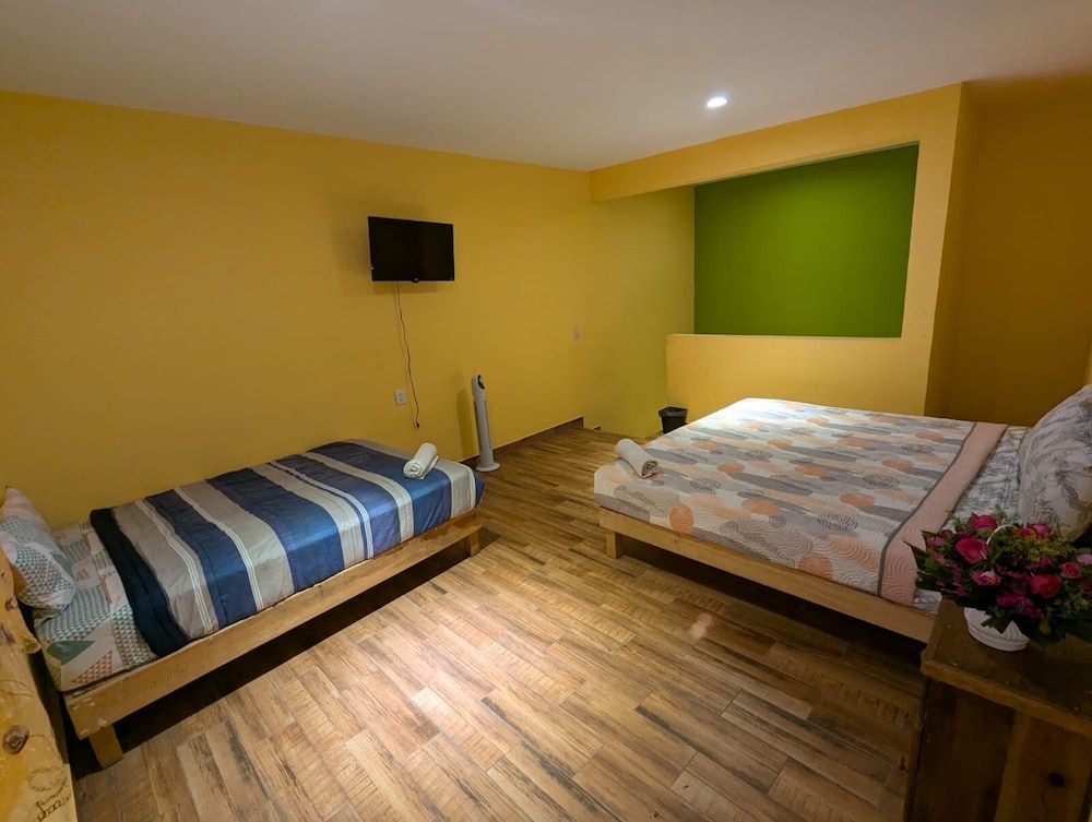 Family Triple Room photo 1