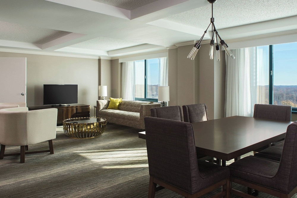 Presidential Suite, 1 King Bed photo 1