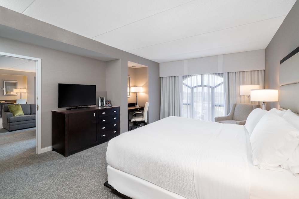 Room, 1 King Bed, Accessible (Mobility Roll-In Shower) - Photo 2