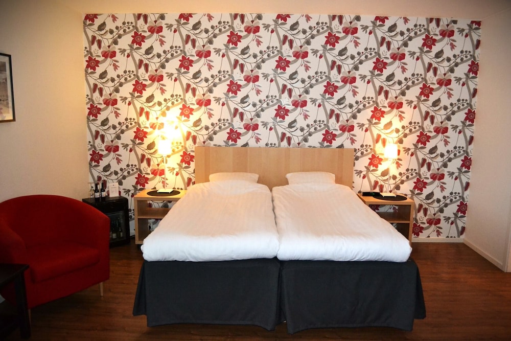 Family Room (Single Bed) photo 3
