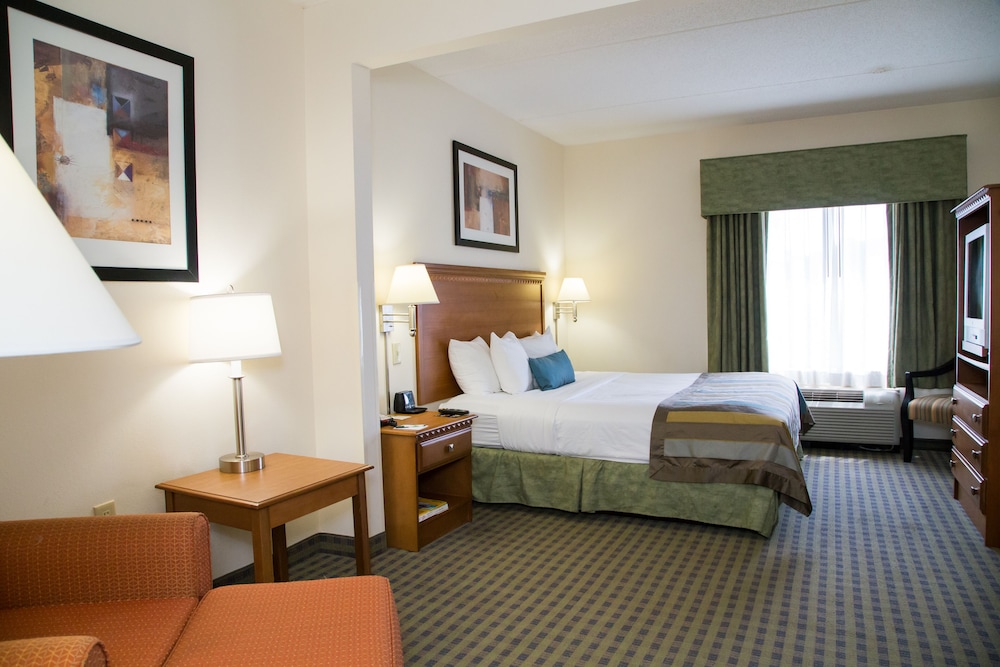 Deluxe Studio Suite, 1 King Bed, Non Smoking - Photo 2