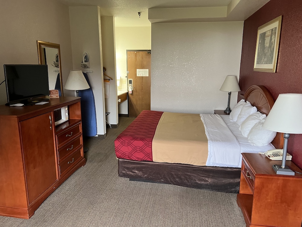 Basic Single Room, 1 King Bed - Photo 10