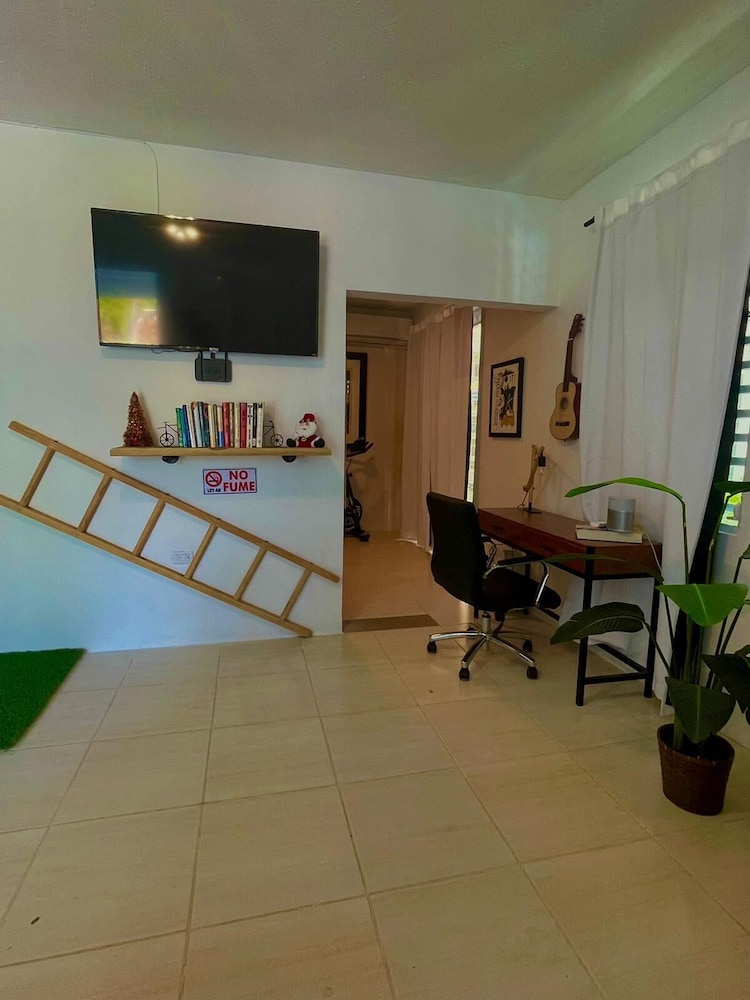 Basic Apartment photo 3