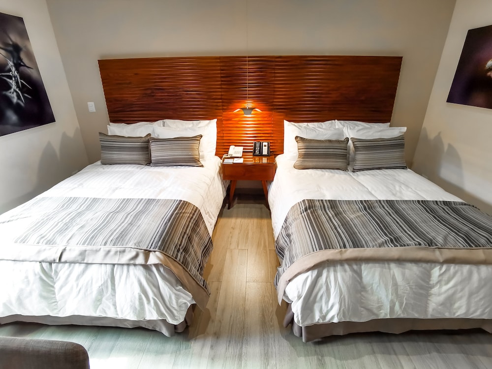 Deluxe Double Room photo 2