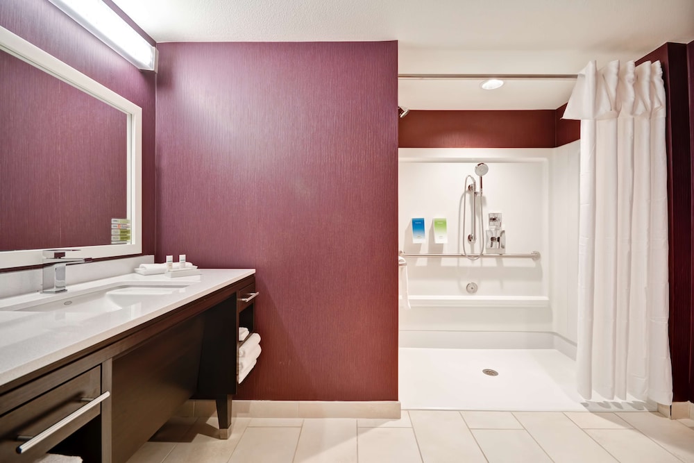 Suite, 1 King Bed, Accessible, Non Smoking (Roll-in Shower) - Photo 6