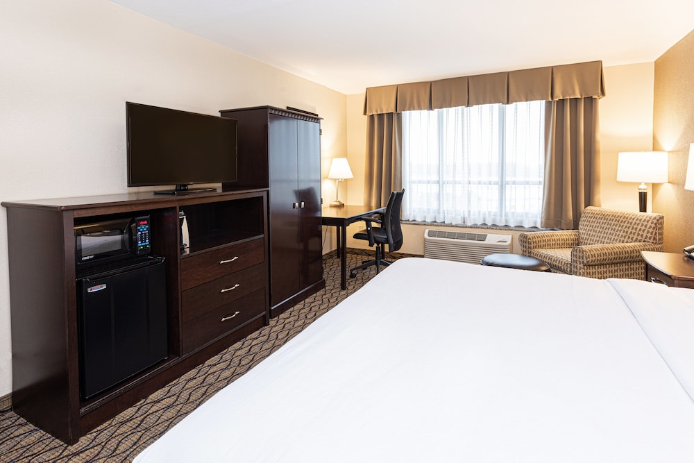 Suite, 1 Bedroom, Accessible (Communications, Accessible Tub) - Photo 5