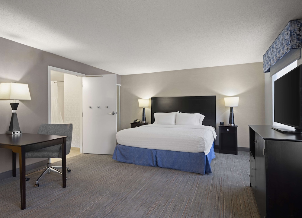 Suite, 1 King Bed, Accessible, Non Smoking photo 3