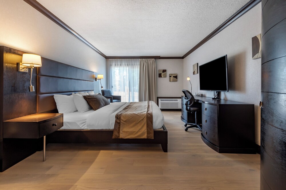 Suite, 1 King Bed, Non Smoking, Refrigerator - Photo 2