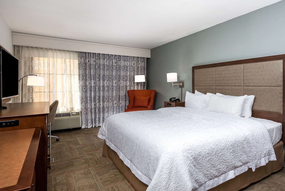 Room, 1 King Bed, Accessible (Roll-In Shower) photo 1