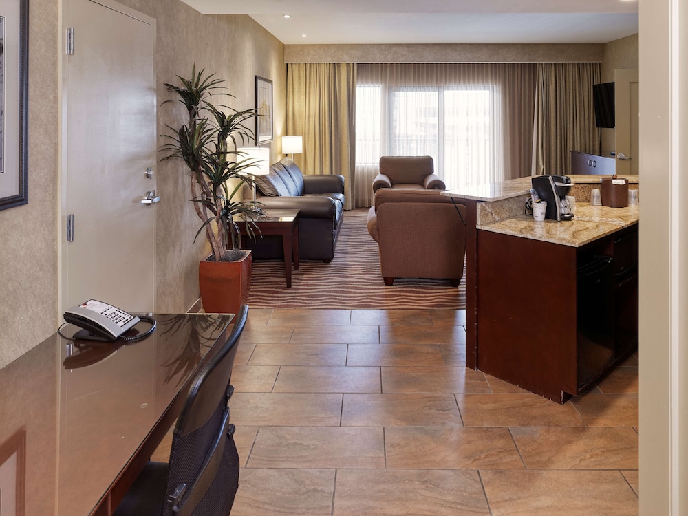 Deluxe Suite, 1 King Bed, Non Smoking, Refrigerator & Microwave (With Sofabed)