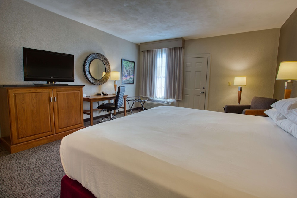 Deluxe Room, 1 King Bed, Accessible, Refrigerator & Microwave (Roll in Shower, Oversized Terrace) photo 2