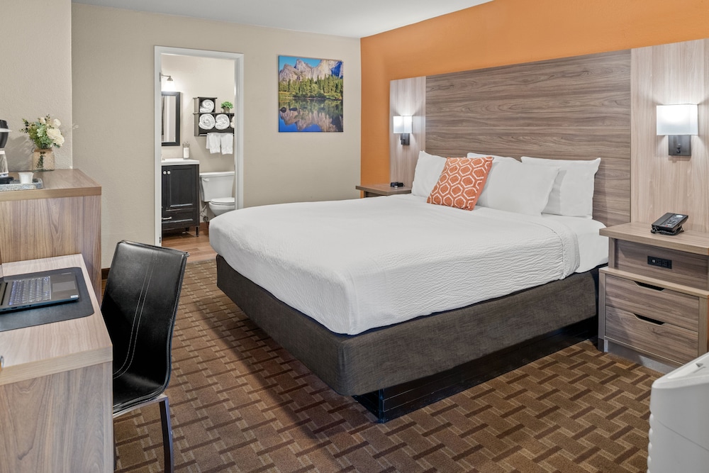 Room 602 - King Standard