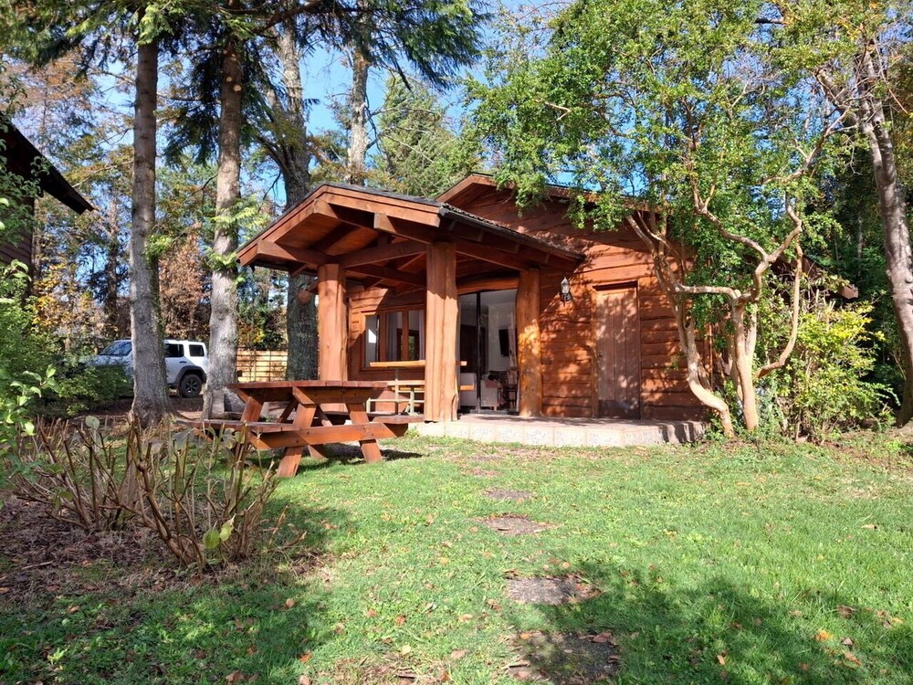 Standard Cabin, Lake View photo 3