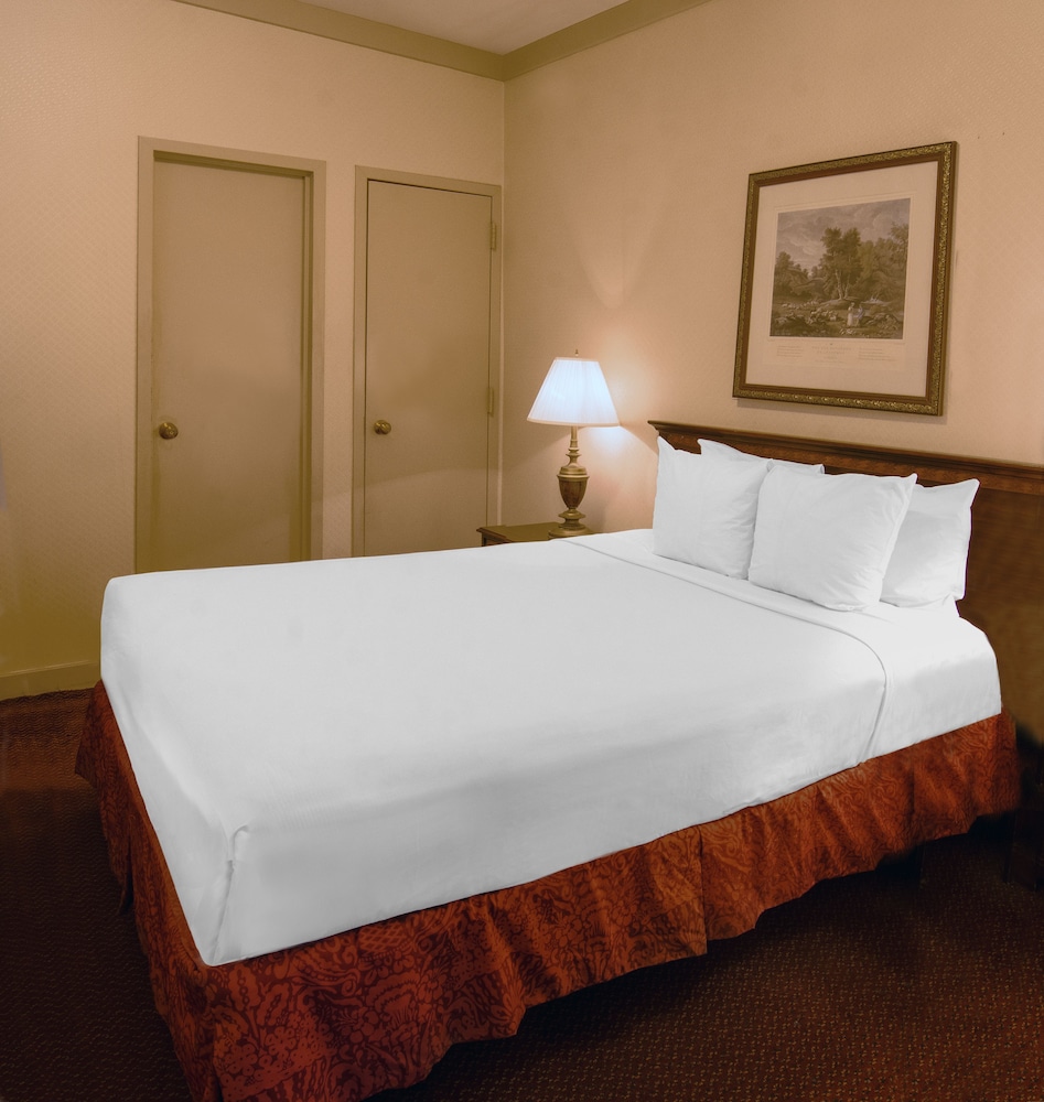 Bronze, Junior Suite photo 2