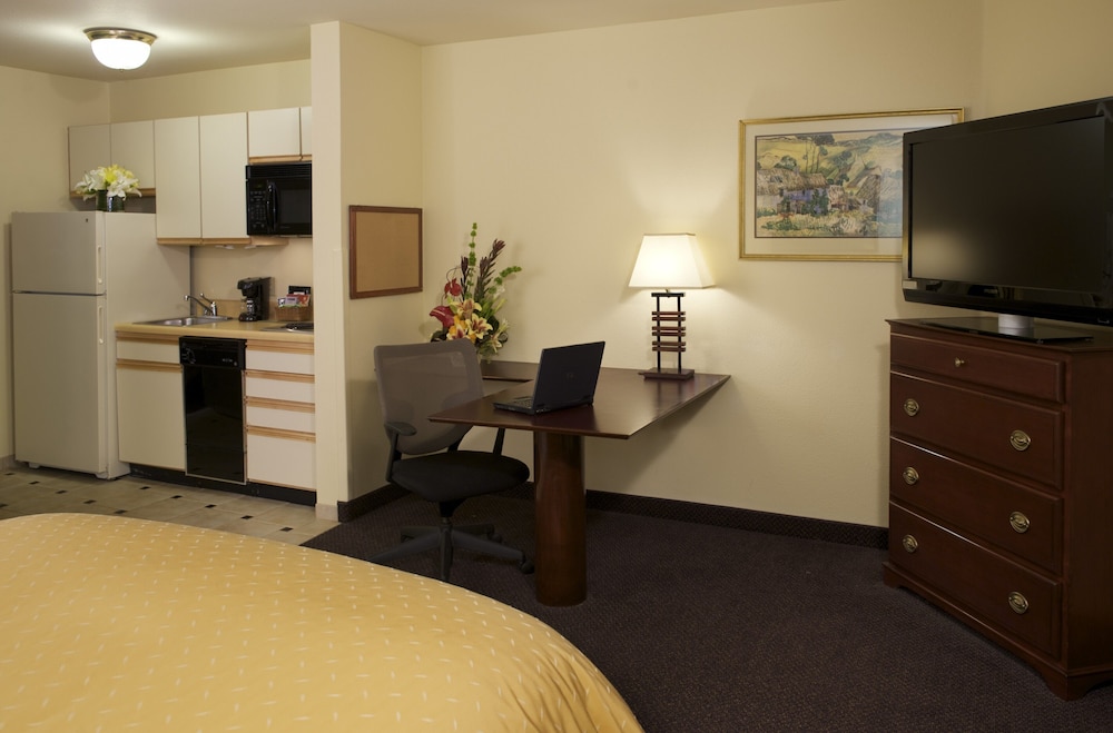 Studio Suite - Photo 3