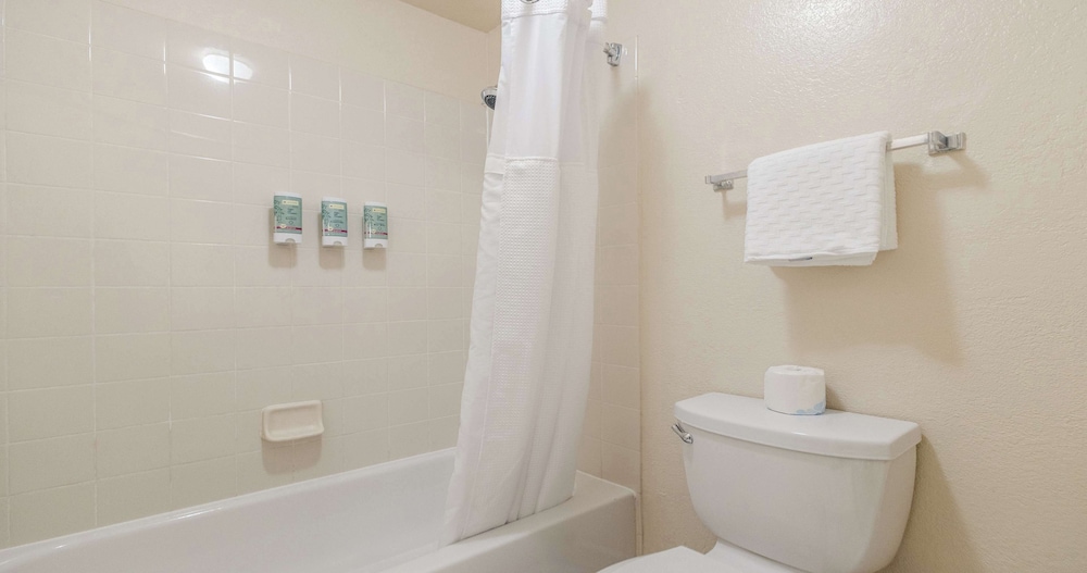 Standard Room, 1 King Bed, Non Smoking, Refrigerator & Microwave - Photo 9