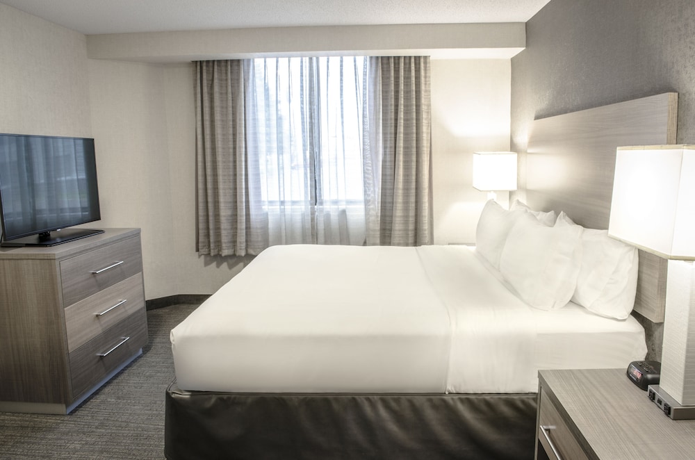 Standard Room, 1 Queen Bed, Mobility Accessible (Communications) - Photo 4