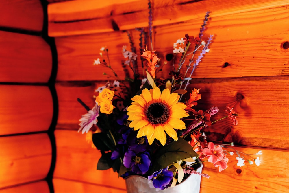 Two-Room Rustic Cabin - Yellow photo 3