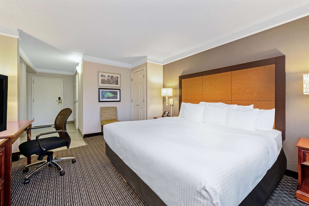 Deluxe Room, 1 King Bed - Photo 3