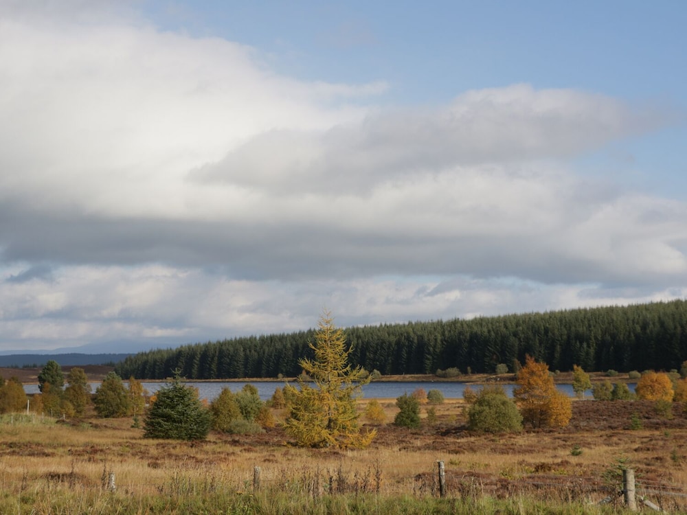 Cottage photo 1