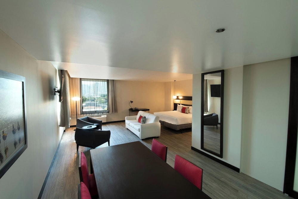 Suite, 1 King Bed with Sofa bed photo 2