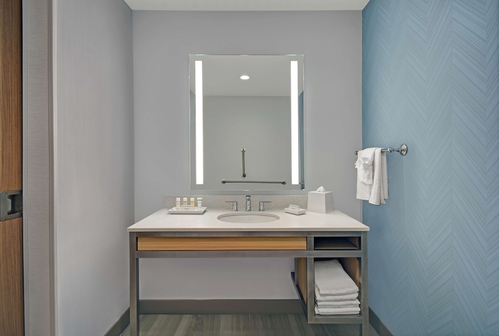 Suite, 1 King Bed, Accessible, Bathtub (Roll-In Shower) - Photo 4