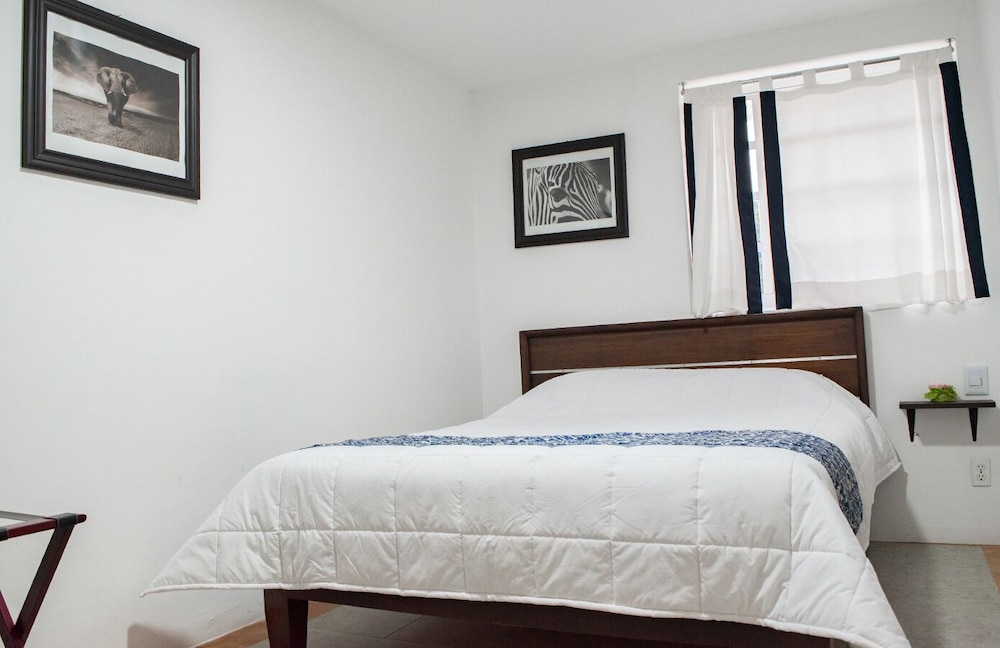 Comfort Room photo 1
