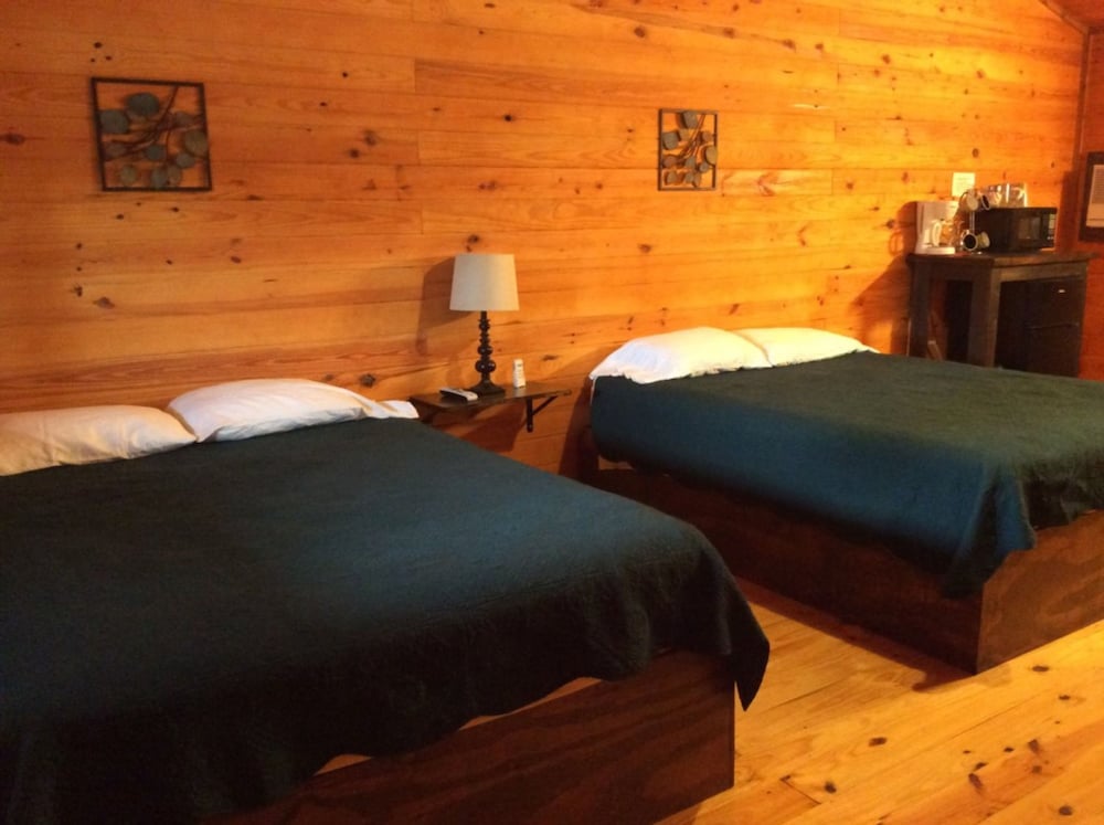 Studio, 2 Queen Beds photo 3
