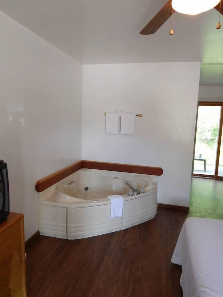 Executive Suite, 1 King Bed, Jetted Tub, Canal View photo 2