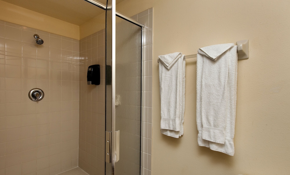 Sabal Palm One Bedroom photo 2