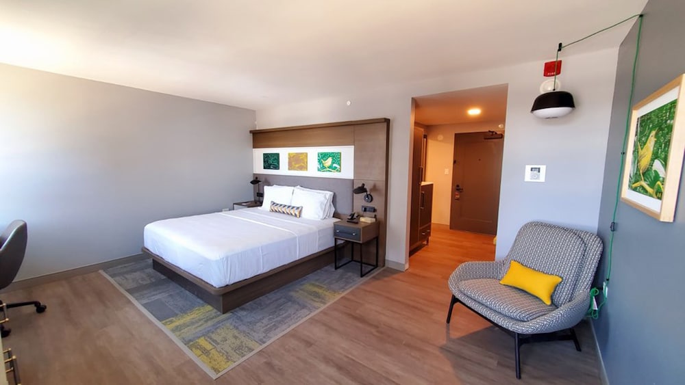 Standard Room, 1 King Bed, Roll-in Shower (Communications Accessible) - Photo 2
