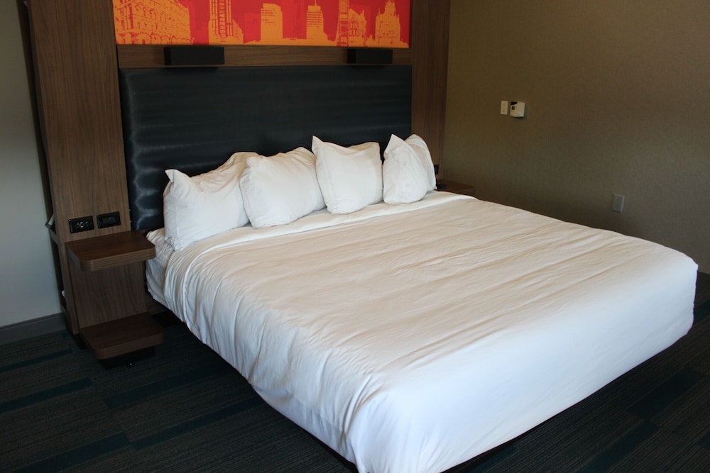 Room, 1 King Bed (Mobility Accessible, Roll-In Shower) photo 3
