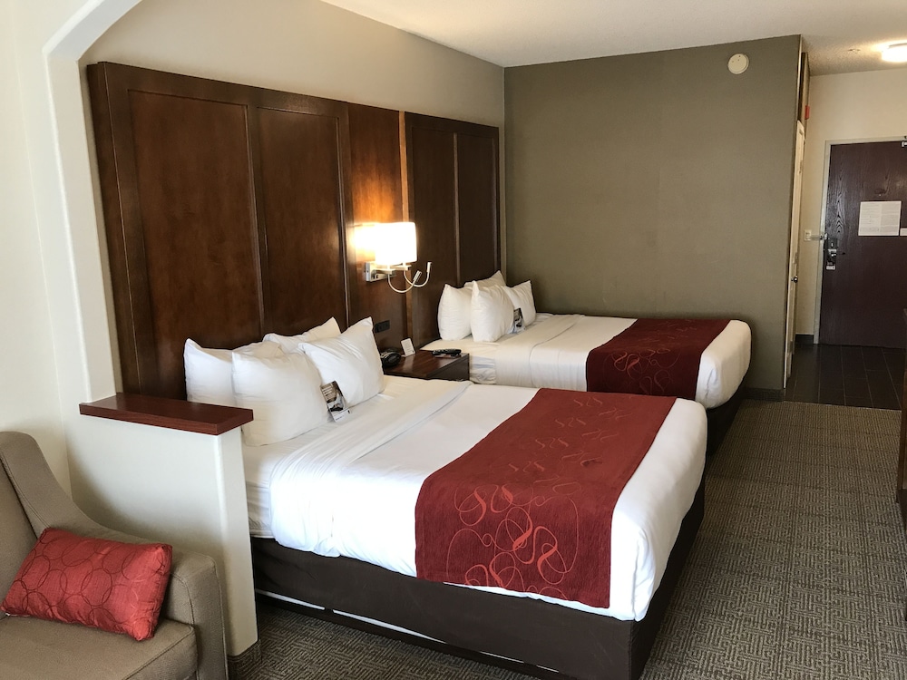 Studio Suite, 2 Queen Beds - Photo 12