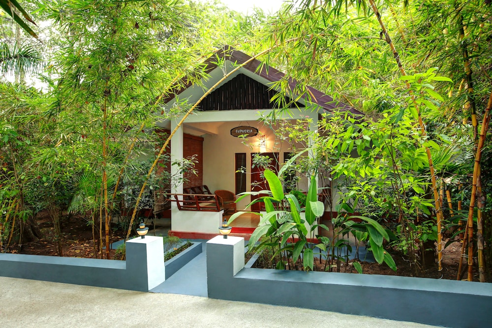 Euphoria Room - Photo 9