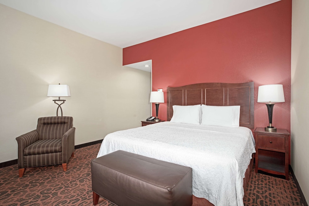 Room, 1 King Bed, Accessible photo 1