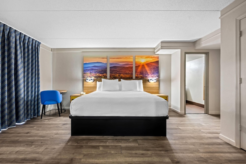 Mini-Suite,1 King Bed, Smoking - Photo 1