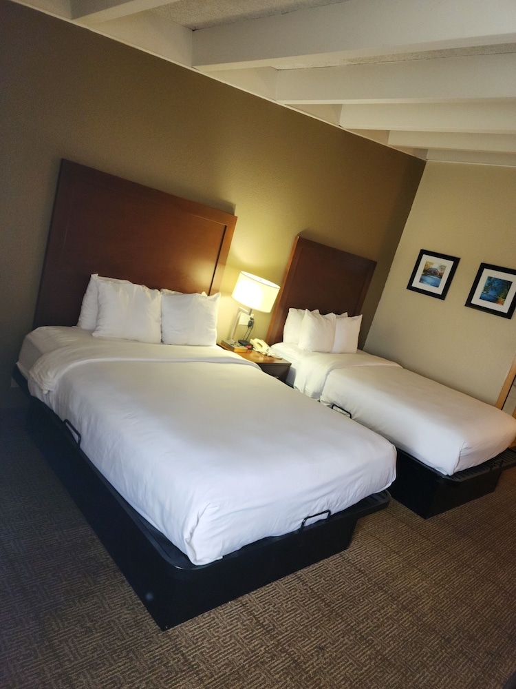 Standard Room, 2 Double Beds, Non Smoking - Photo 3